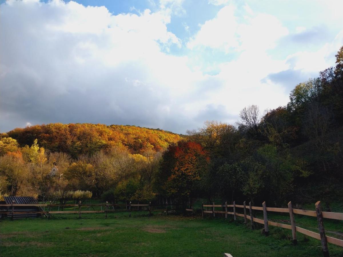 Lovas Vendégház Obanya Exterior foto